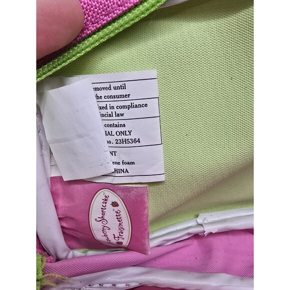 Vintage Strawberry Shortcake 2004 Kids Fanny Pack Tutti Frutti Cutie- Y2K Rare - Picture 7 of 16